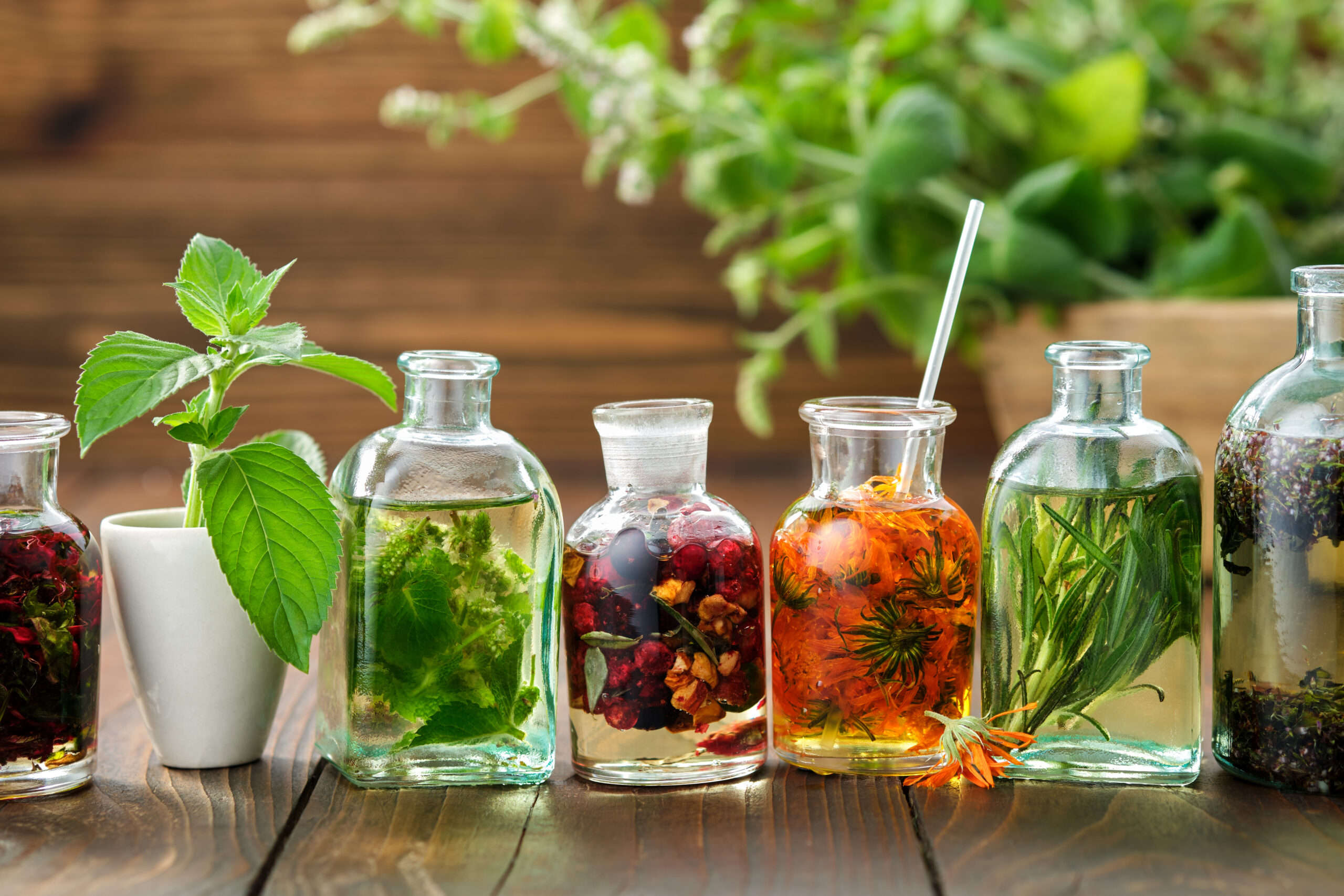 Bottles of essential oil or infusion of herbs and berries - monarda bergamot, mint, calendula, sage, oregano, healing plants on background. Alternative medicine.